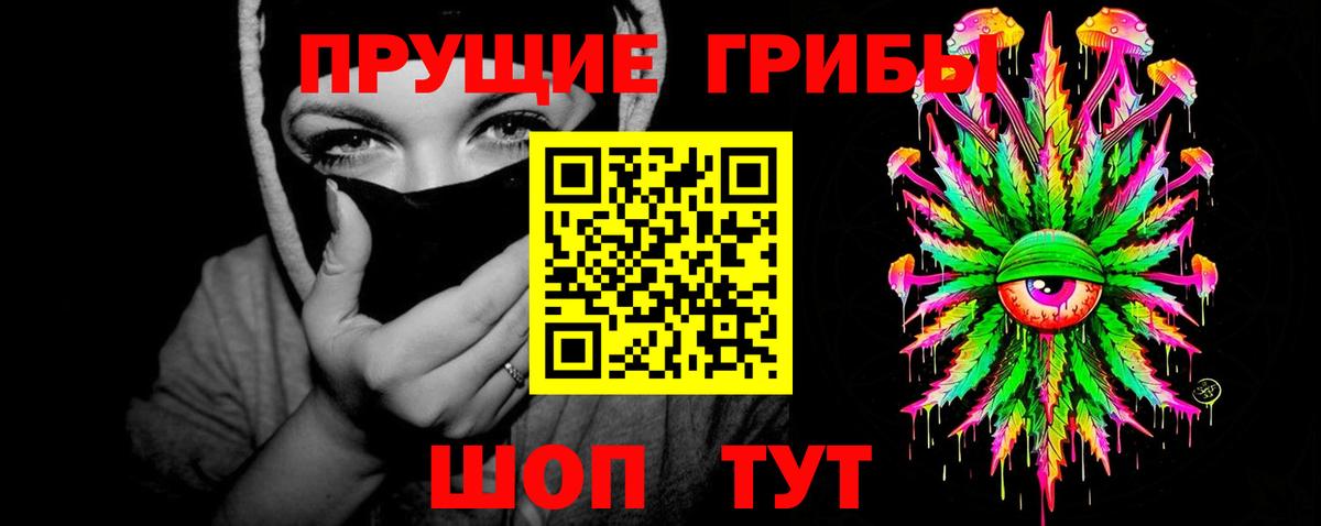 Кисловодск  Псилоцибиновые грибы мицелий  Вход с VPN 